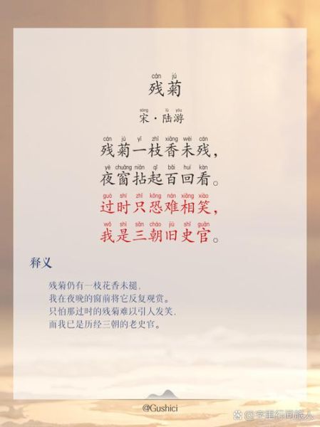 残菊的象征意义是什么_残菊在诗词中代表什么