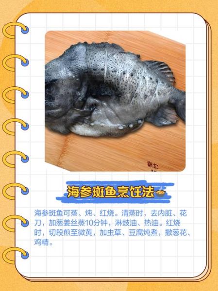 海参斑鱼怎么做好吃_海参斑鱼的家常做法