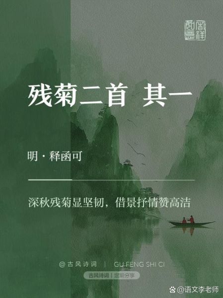 残菊的象征意义是什么_残菊在诗词中代表什么