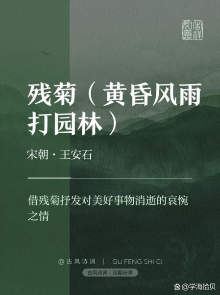 残菊的象征意义是什么_残菊在诗词中代表什么