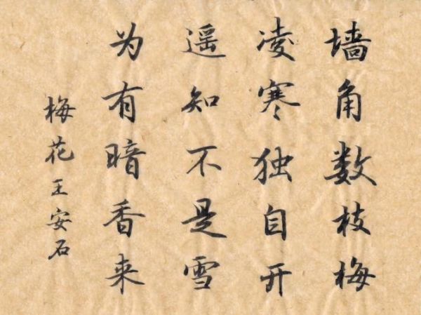 暗香词语雪是什么意思_暗香词语雪怎么用