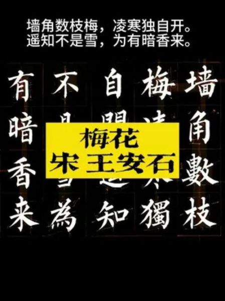 暗香词语雪是什么意思_暗香词语雪怎么用