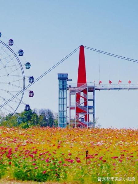 什么好玩_周末去哪玩