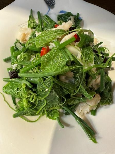 凉拌丝瓜尖怎么做_丝瓜尖焯水几分钟