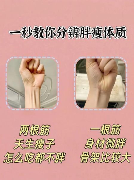 高矮胖瘦的区别_高矮胖瘦哪个更重要