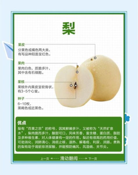 梨子品种有哪些_梨子功效与作用