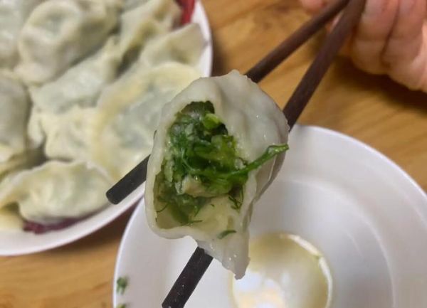 茴香牛肉饺子馅怎么做_茴香牛肉饺子馅的正宗做法