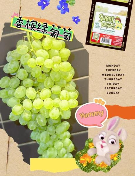 葡萄绿是什么颜色_葡萄绿怎么调出来