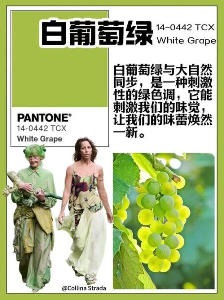 葡萄绿是什么颜色_葡萄绿怎么调出来