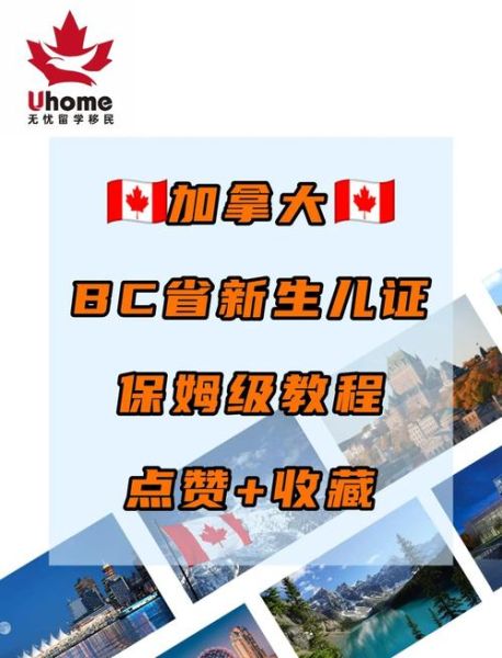 bc省提名条件_如何申请bc省移民