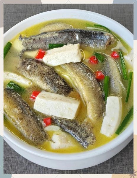 泥鳅豆腐汤怎么炖不腥_泥鳅豆腐汤做法步骤