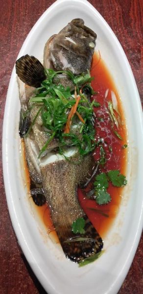 清蒸石斑鱼怎么蒸才鲜嫩_石斑鱼蒸多久最佳时间