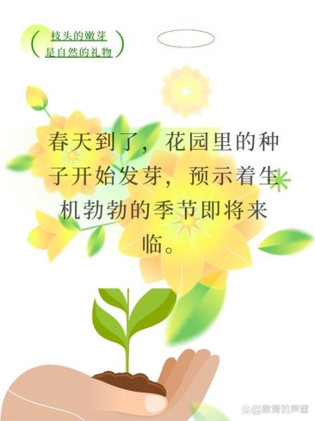 发芽词语有哪些_如何正确使用发芽词语