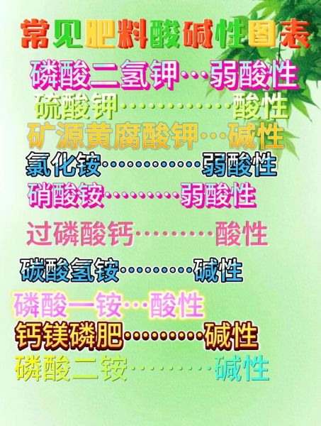 比较酸的词语有哪些_如何区分酸度等级