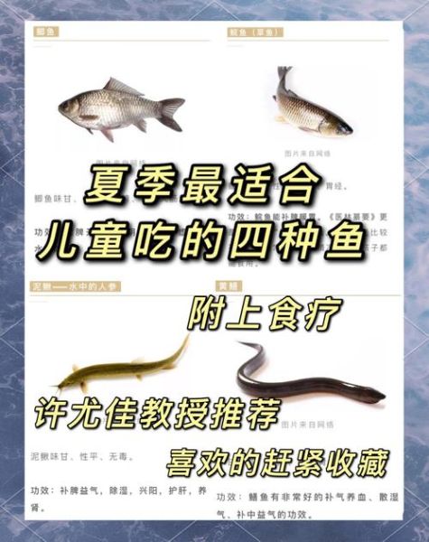 小鱼怎么养_小鱼吃什么食物