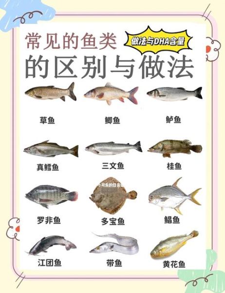 小鱼怎么养_小鱼吃什么食物