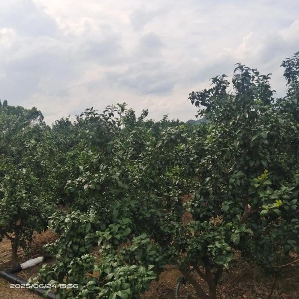 黑暗无边是什么意思_黑暗无边出自哪里