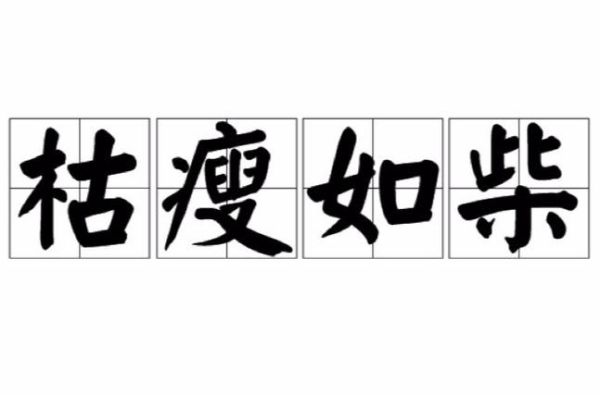 骨瘦如柴是什么意思_骨瘦如柴的成语出处