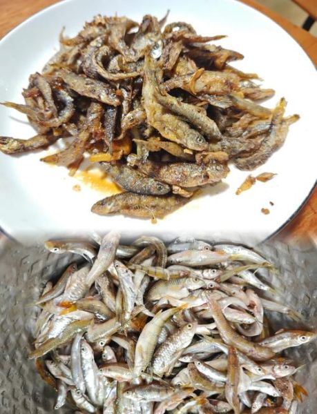 小鱼的做法大全_家常小鱼怎么做好吃