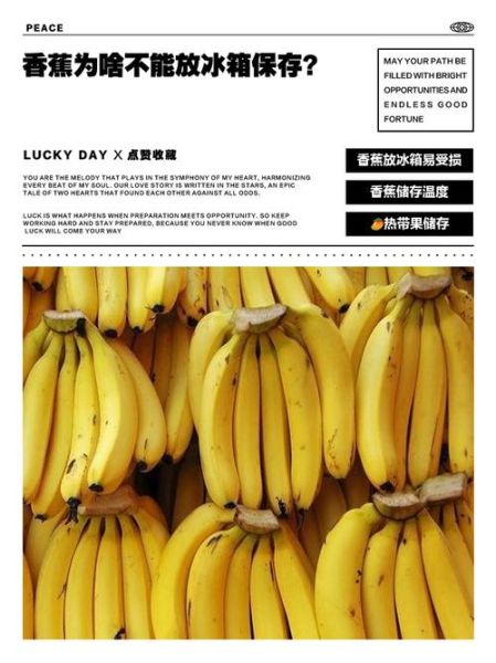 香蕉怎么保存不会变黑_香蕉能放冰箱吗