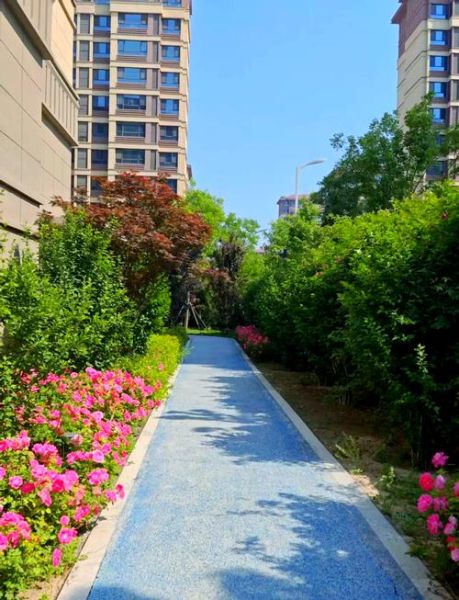 小区绿化好的标准是什么_如何打造美丽宜居小区