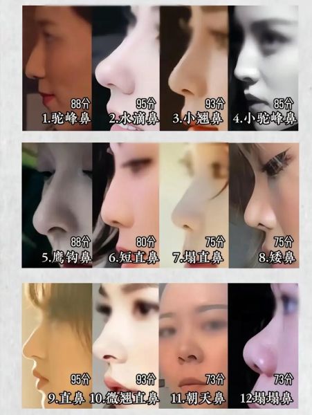 鼻子怎么形容好看_鼻子高挺好看吗