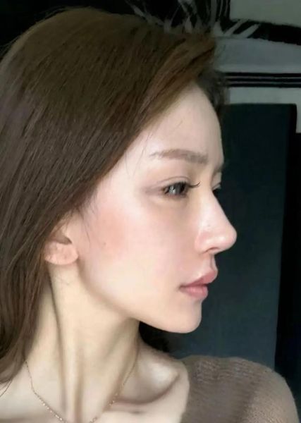 鼻子怎么形容好看_鼻子高挺好看吗