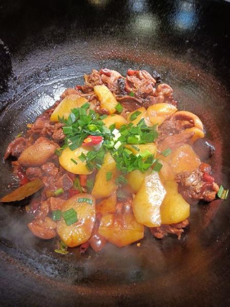 铁锅炖大鹅怎么做好吃_铁锅炖大鹅的做法步骤