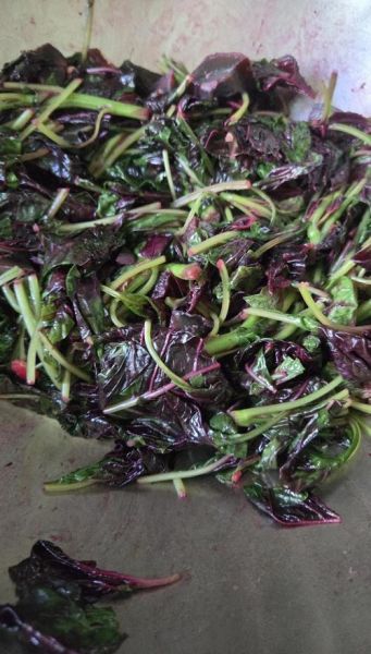 苋菜鸡蛋汤怎么做_苋菜鸡蛋汤的做法大全