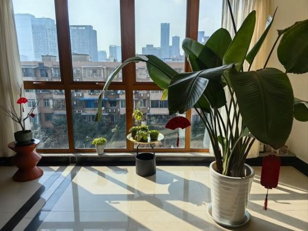 艳阳高照适合做什么_艳阳高照防晒怎么做