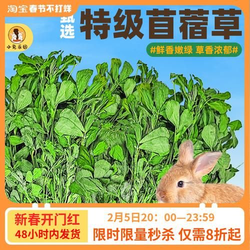什么青草可以喂兔子_哪些青草不能喂