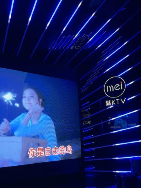 手机ktv哪个好用_手机ktv怎么录歌效果好