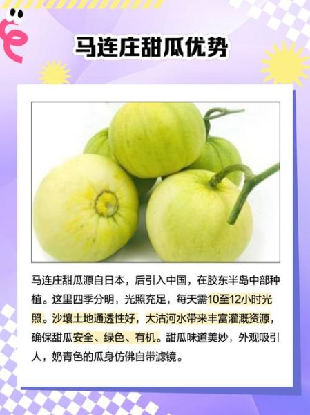 甜瓜是词语吗_甜瓜属于什么词类