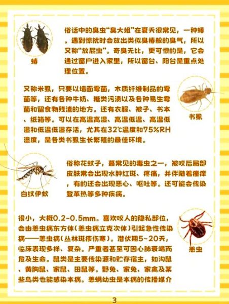 虫子为什么叫_虫子怎么来的