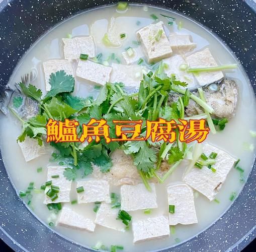 鲈鱼豆腐汤怎么做_鲈鱼豆腐汤的营养价值