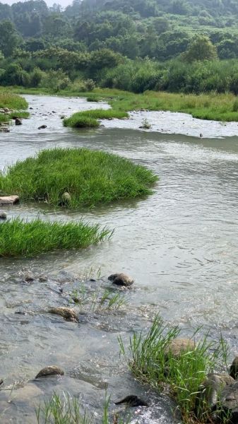 溪水潺潺什么意思_溪水潺潺造句