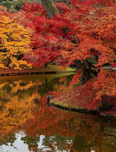 秋天适合去哪里旅游_秋季赏枫叶最佳时间