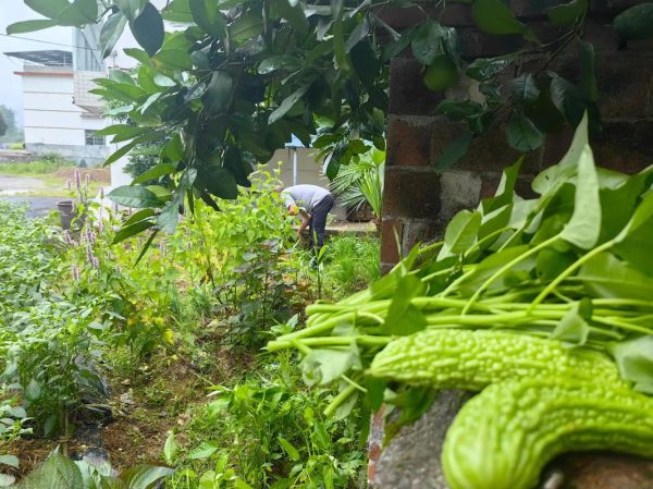 性格直率的人怎么相处_直率的人有哪些优点