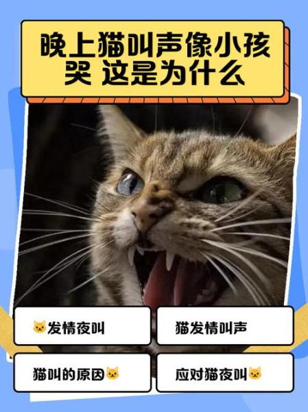 婴儿哭声尖锐刺耳怎么办_婴儿哭声像猫叫一样正常吗