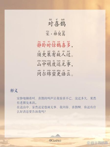 喜鹊BB词语是什么意思_喜鹊BB词语有哪些