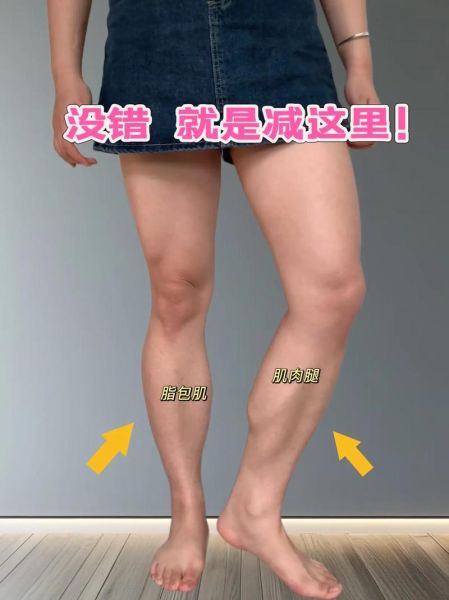 腿部形容词有哪些_如何描写腿部线条