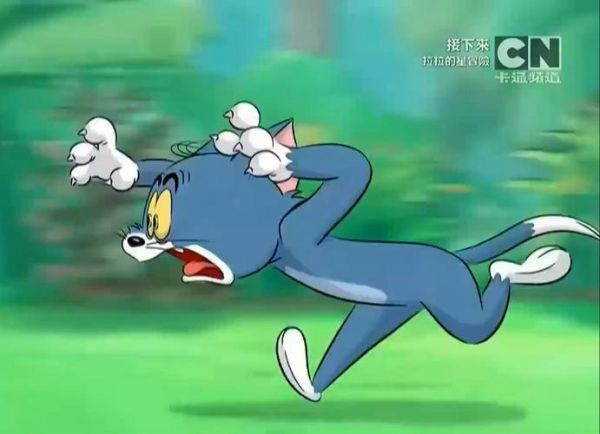 猫和老鼠动画片全集免费观看_猫和老鼠为什么永远抓不到