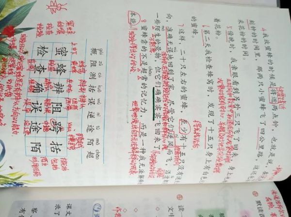 蜜蜂后面填什么词语_蜜蜂后面接什么词最恰当