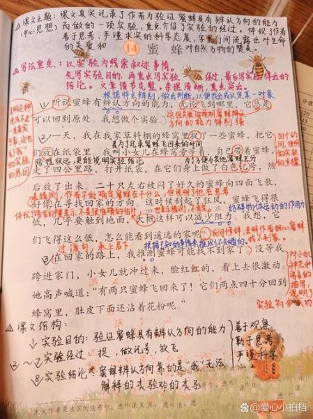 蜜蜂后面填什么词语_蜜蜂后面接什么词最恰当