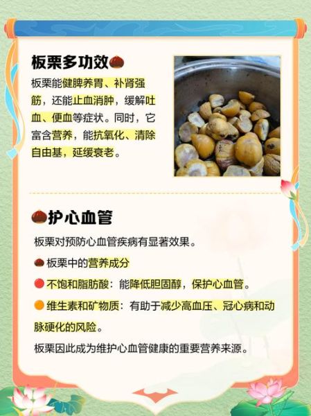 板粟怎么保存_板粟营养价值高吗