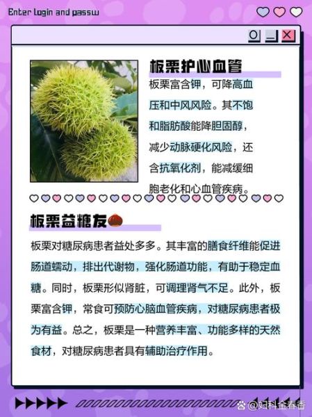 板粟怎么保存_板粟营养价值高吗