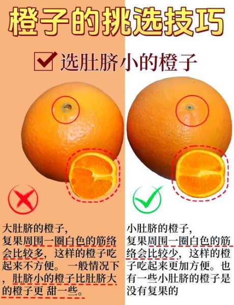 橙子为什么好吃_橙子怎么挑选才甜