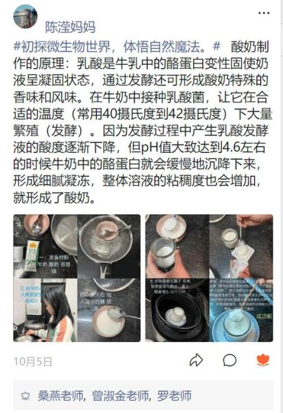 酸奶怎么做_自制酸奶失败原因