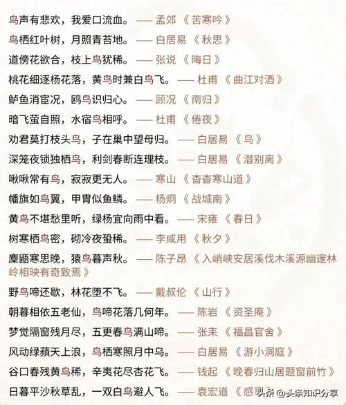 小鸟飞得有多快_形容小鸟飞快的词语有哪些