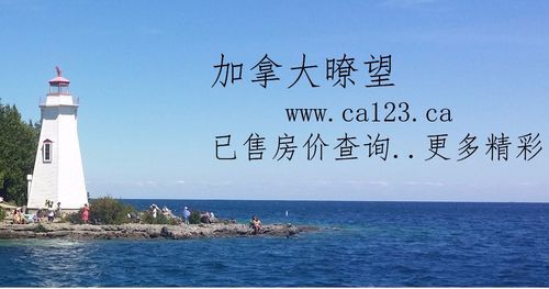 多伦多移民中介哪家好_多伦多移民中介费用